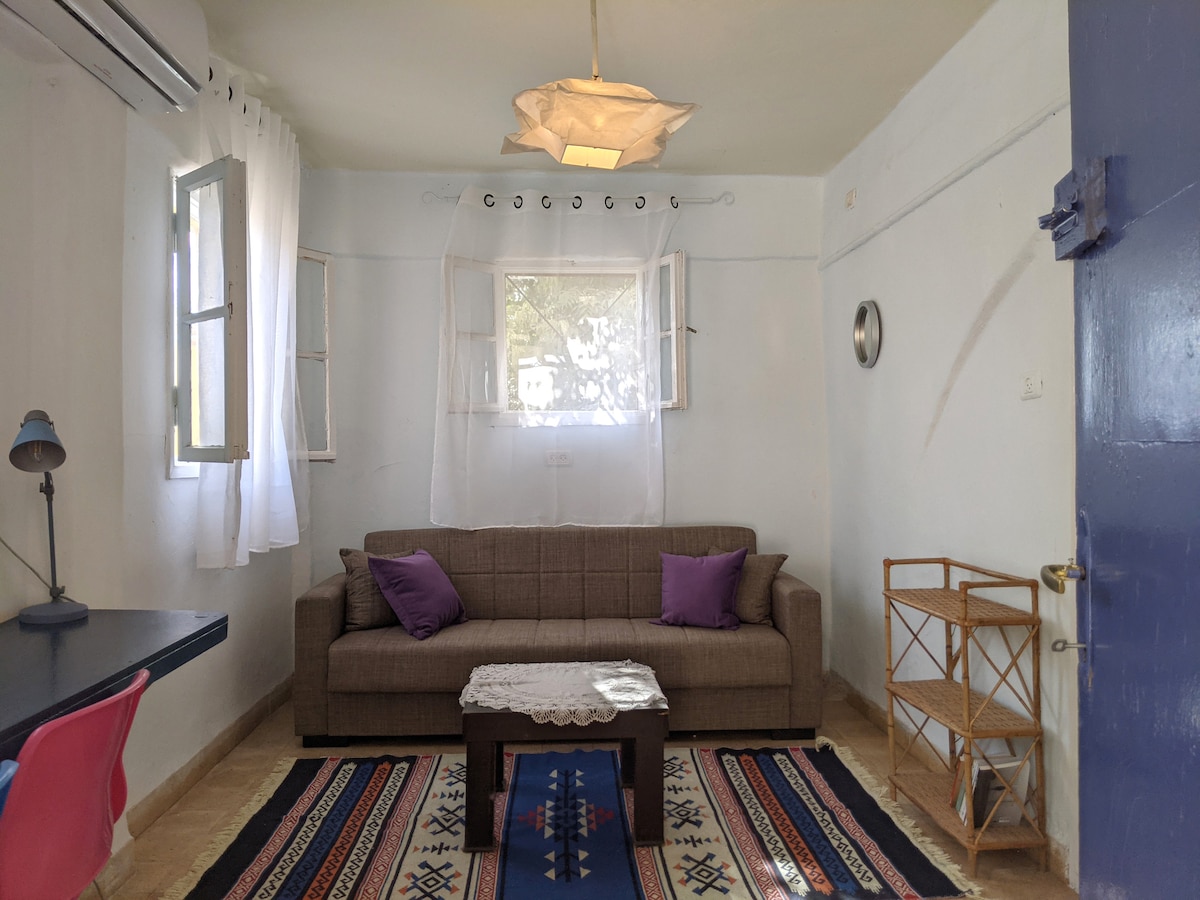 Full Courtyard property overview at A-Hatser Rosh Pinna