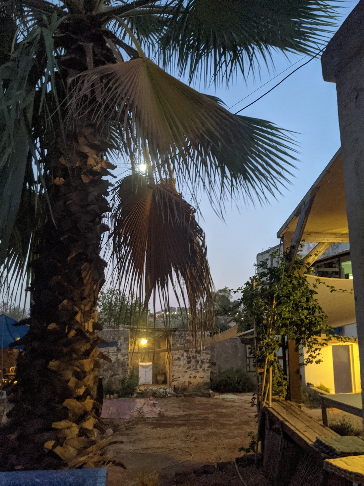 A-Hatser garden courtyard view