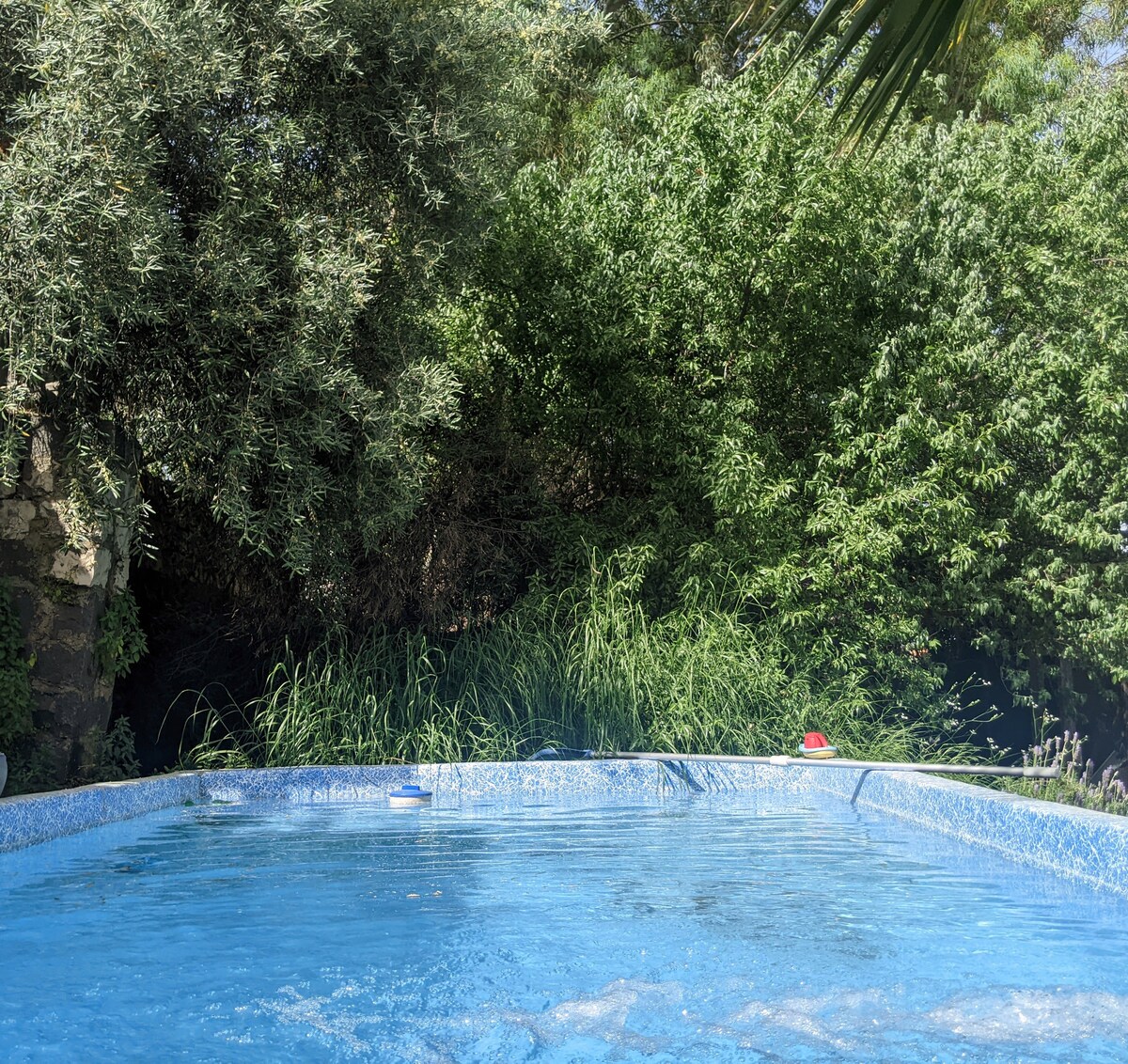 A-Hatser courtyard garden vacation rental