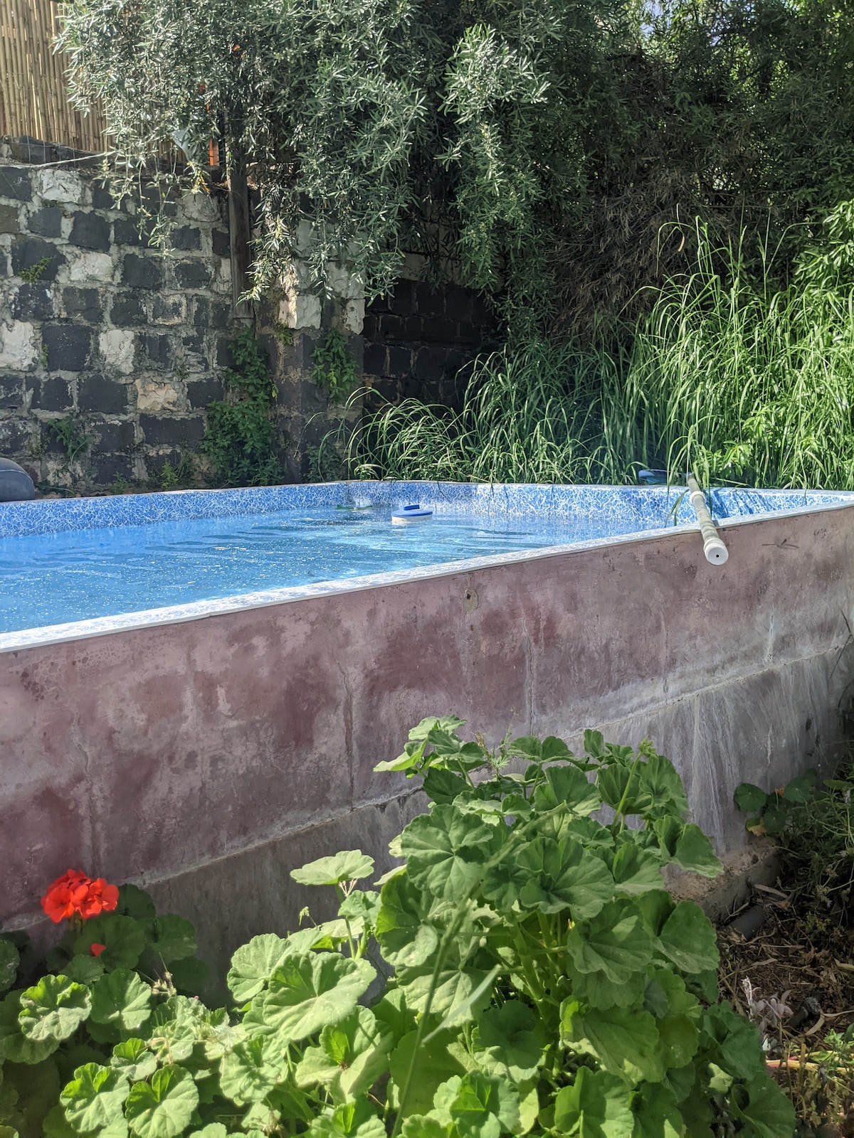 A-Hatser garden accommodation Upper Galilee