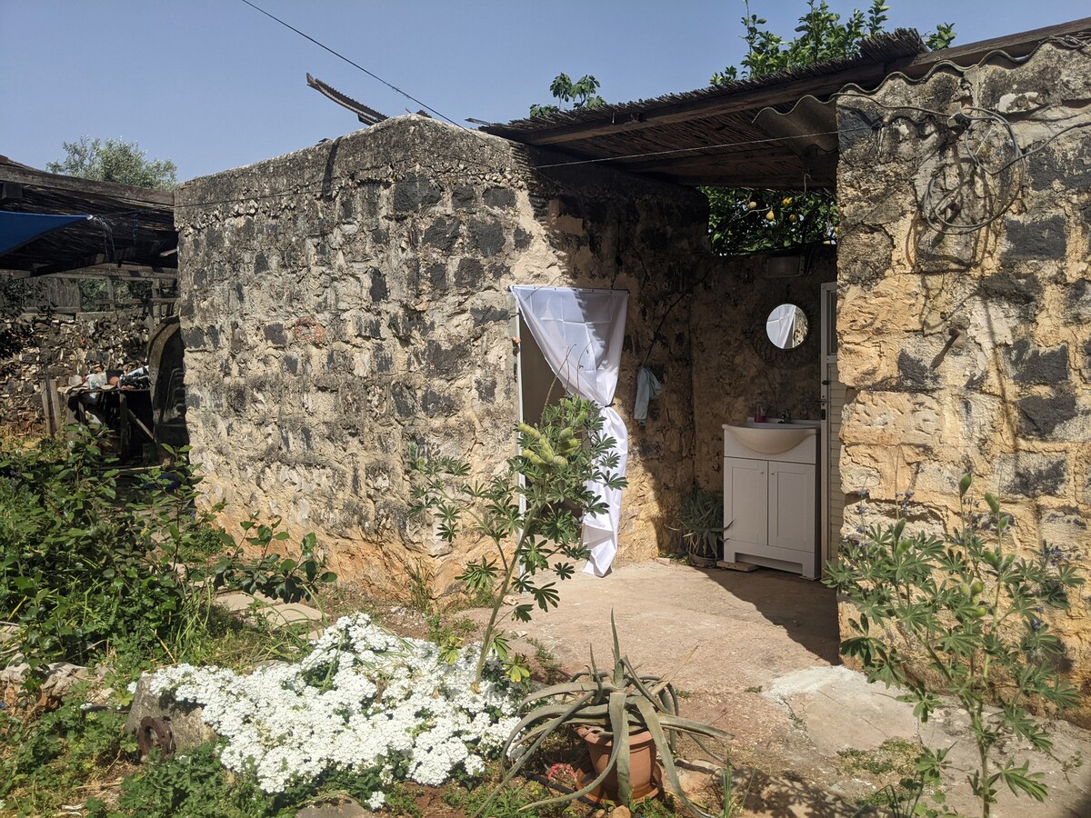 Courtyard garden from Arched Room at A-Hatser