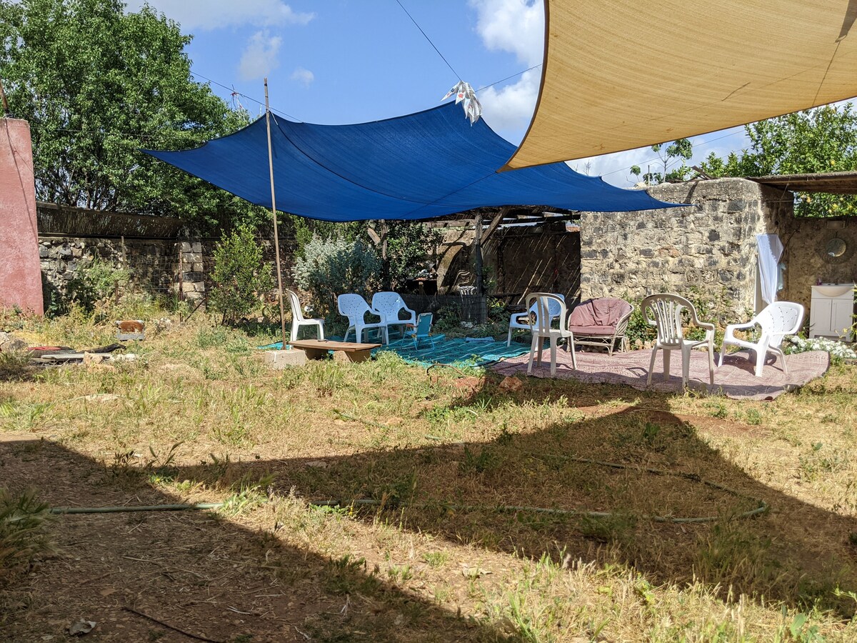 Pool area at A-Hatser zimmer Rosh Pinna